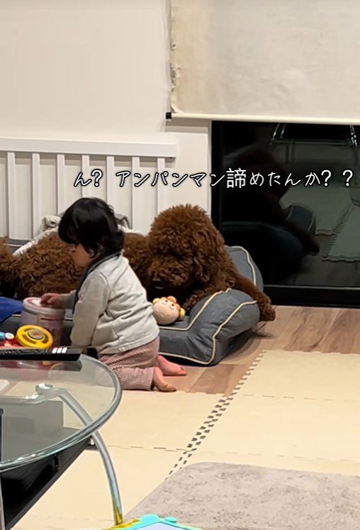 きんとん君VS男の子6