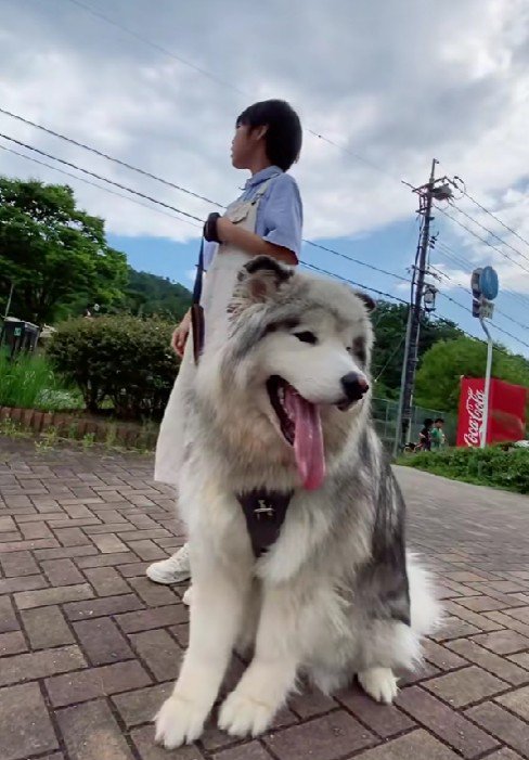 指示にも従います