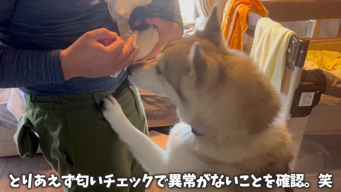 一目散に赤ちゃんを確認！