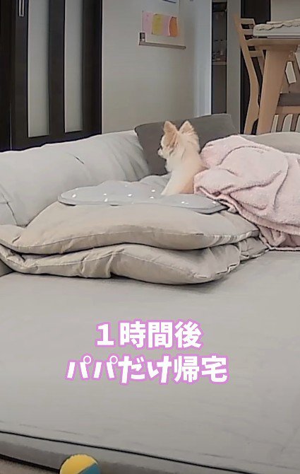 「ふたりとも帰ってきた！」