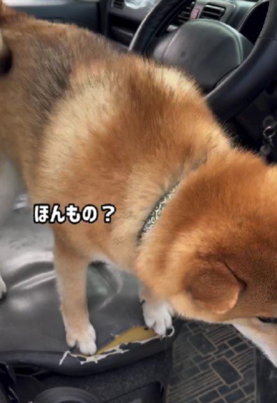 「これは本当に現実？」