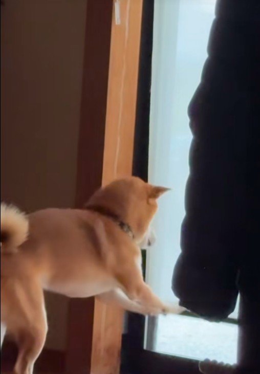 リクくんにハプニング発生5