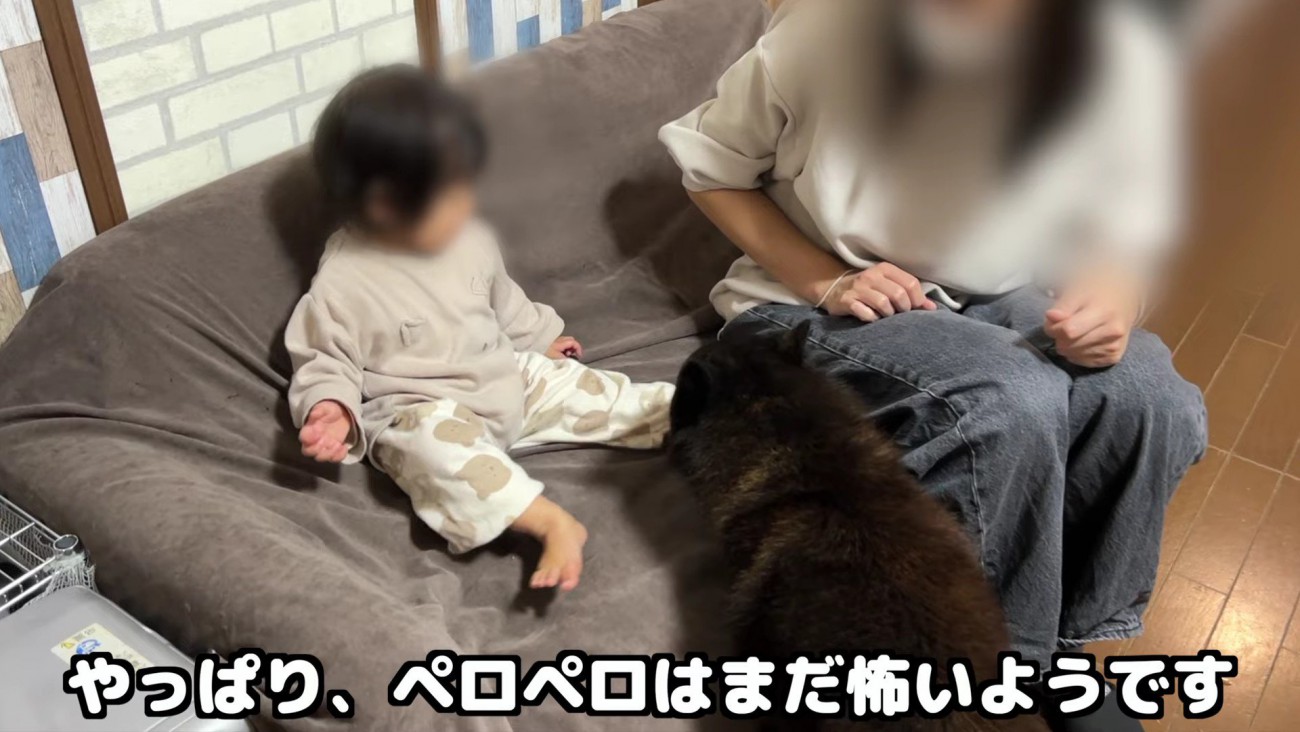 赤ちゃんの足をペロペロ