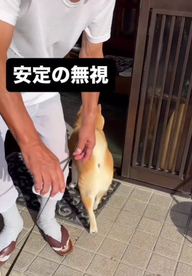 スッ…