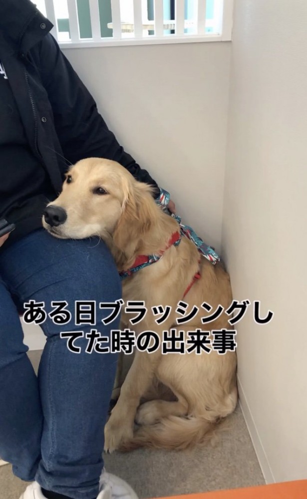 見つけてしまった…