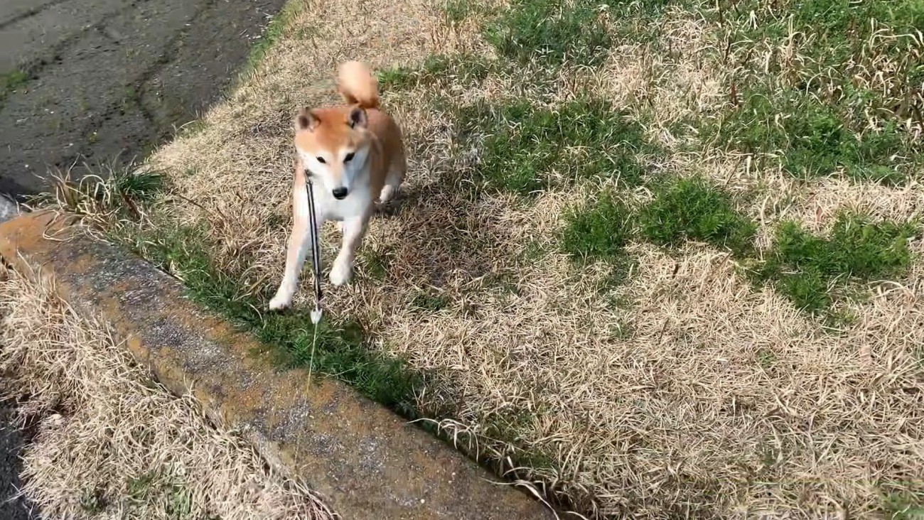 駆け寄ってきました！