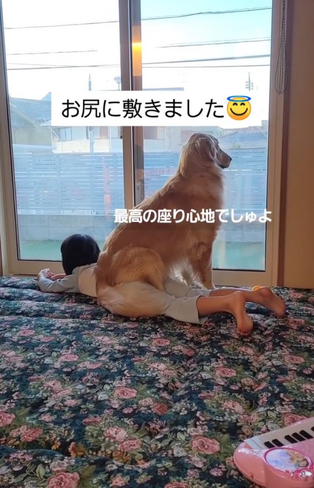 女の子の上で外を眺める