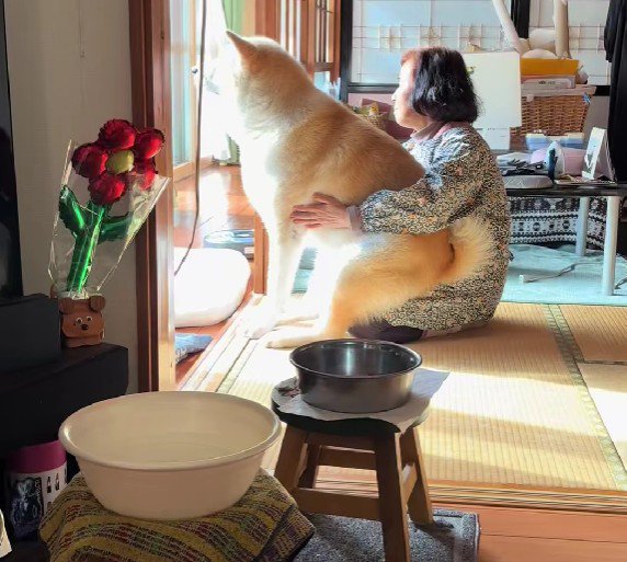ぽかぽか陽気の日…