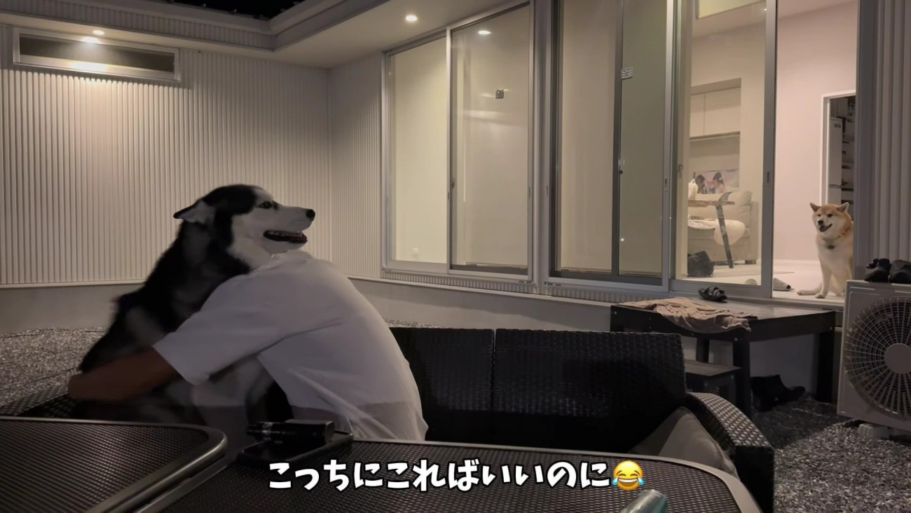 おもちちゃんが見てる！