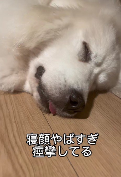 無防備な寝顔にホッコリ