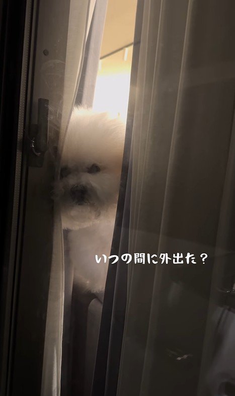 バレないで家を出られるか挑戦⑩