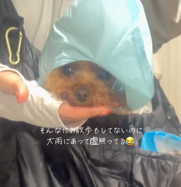 虚無顔のうーろんくん