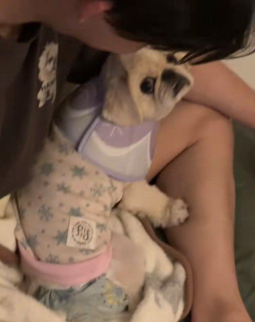 「聞いて！ママがいじめたの」