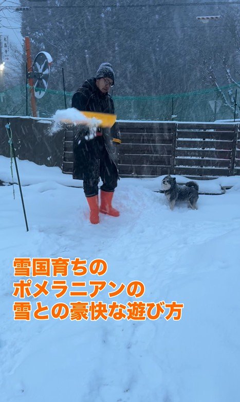龍之介くんの雪遊び