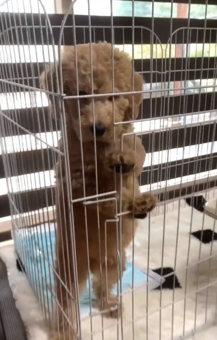 生後2か月のカムくん2