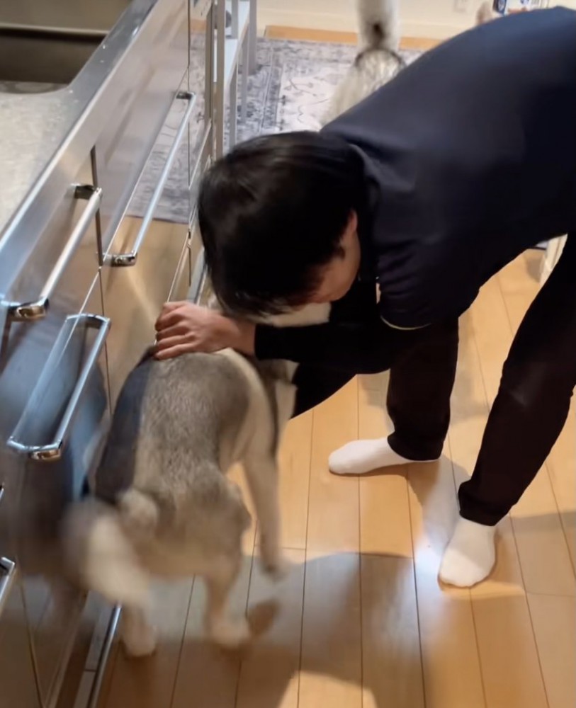 アピールが実って、抱っこの予感