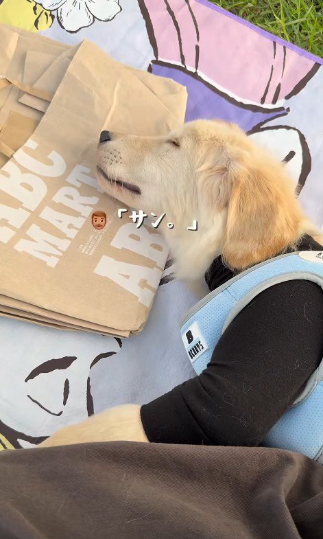 気持ち良さそうにすやすや♪