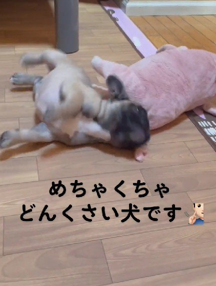 ちょっぴり天然な一面も♪