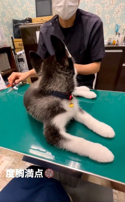 先生を見るレイルちゃん