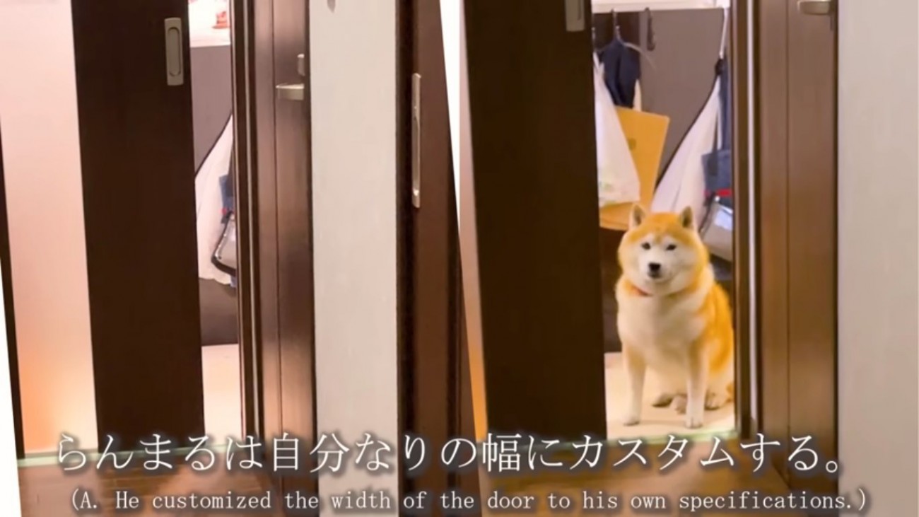 幅をカスタマイズするらんまるくん