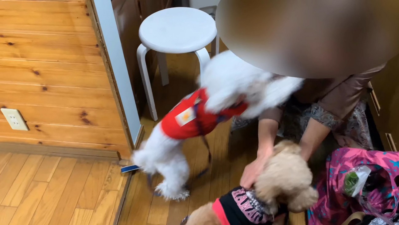 「僕ももっとナデナデしてー！」