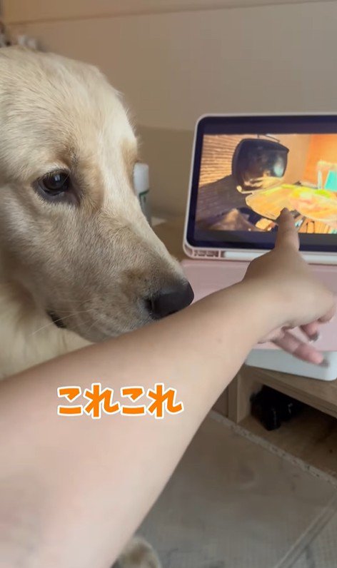 困惑する麹くん8