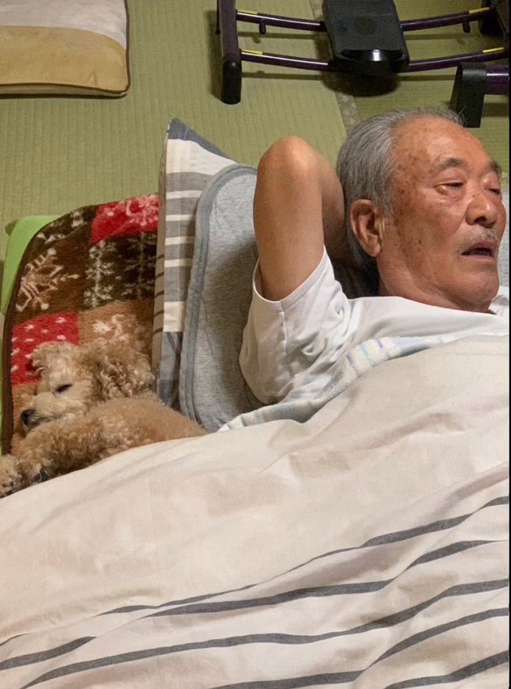 添い寝するおじいちゃんと犬