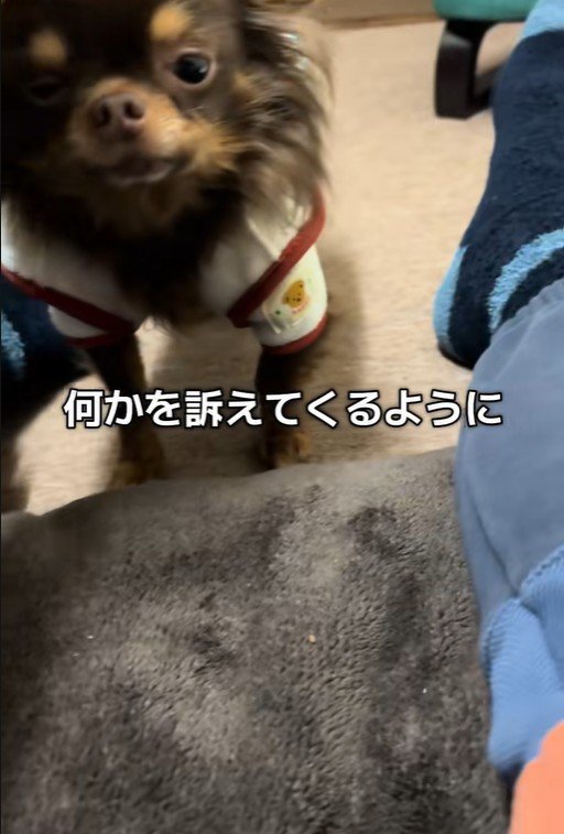 テープくんの変化4