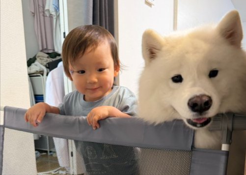 仲良し