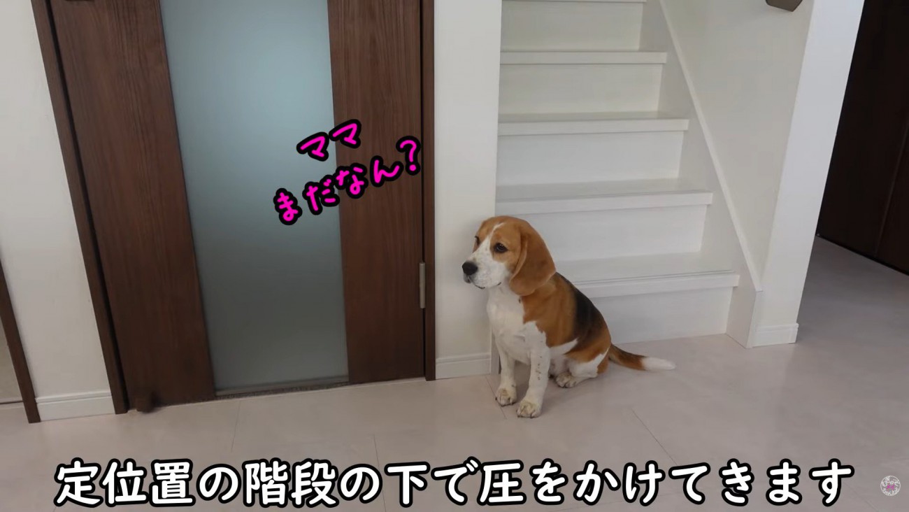 出勤前のママさんとメイちゃん2