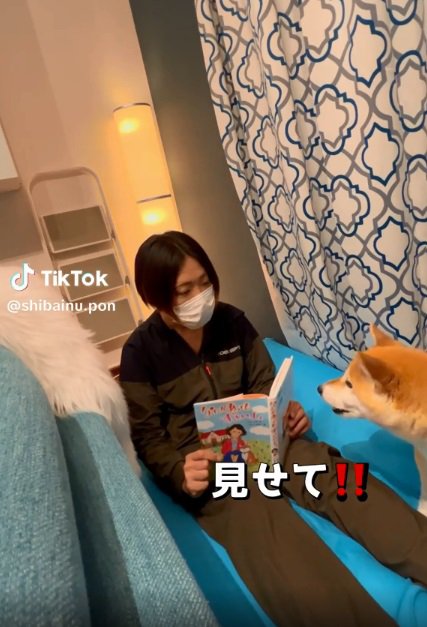 絵本が見たいポンさん