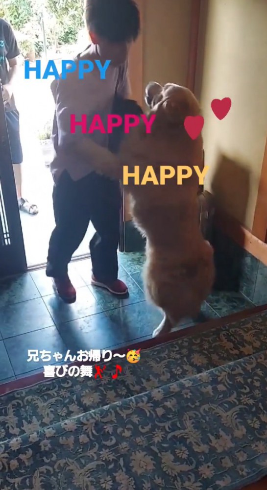 飛びつく大型犬