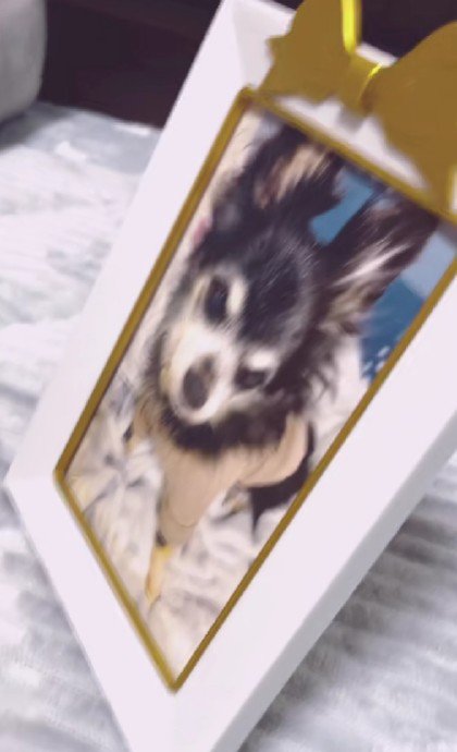 はるちゃんのことが大好きだった