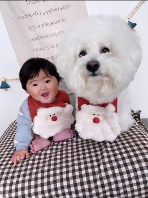 笑顔の赤ちゃんと小型犬