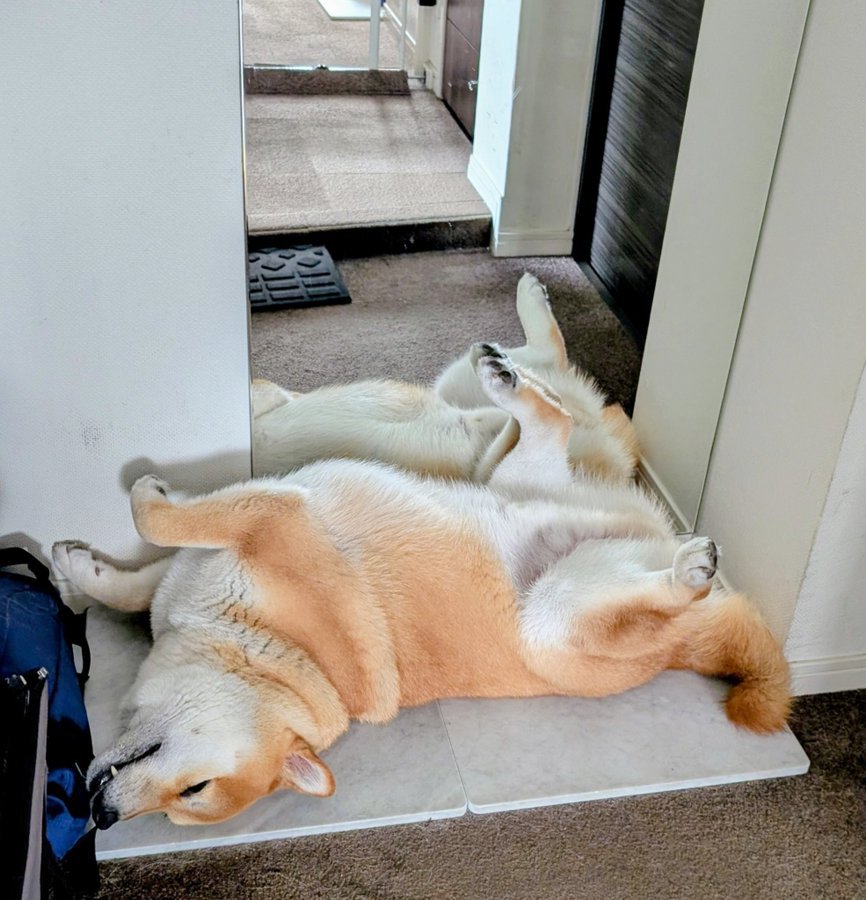 のんびり