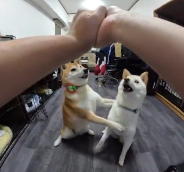 制止