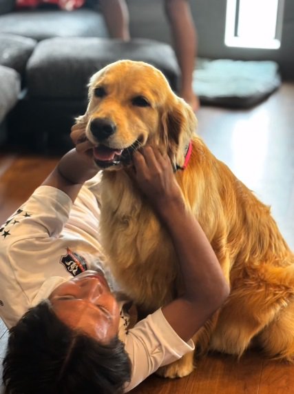 遊ばれるエルちゃん