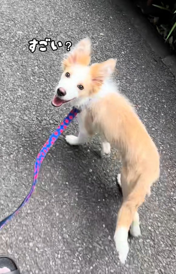 何度も確認するソラくん