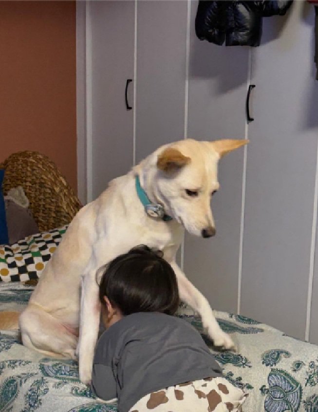 スノーちゃんに顔をうずめる息子さん2