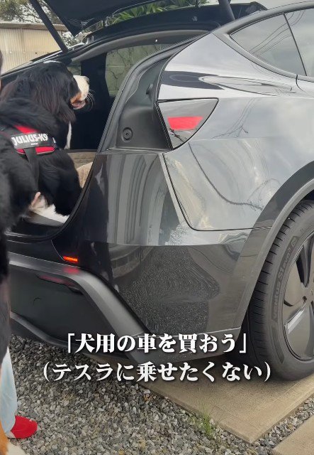 大切な愛車も…