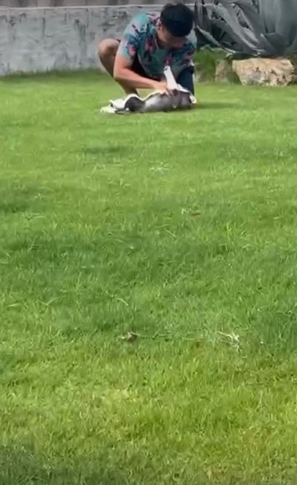 子犬の可愛さにメロメロに♡