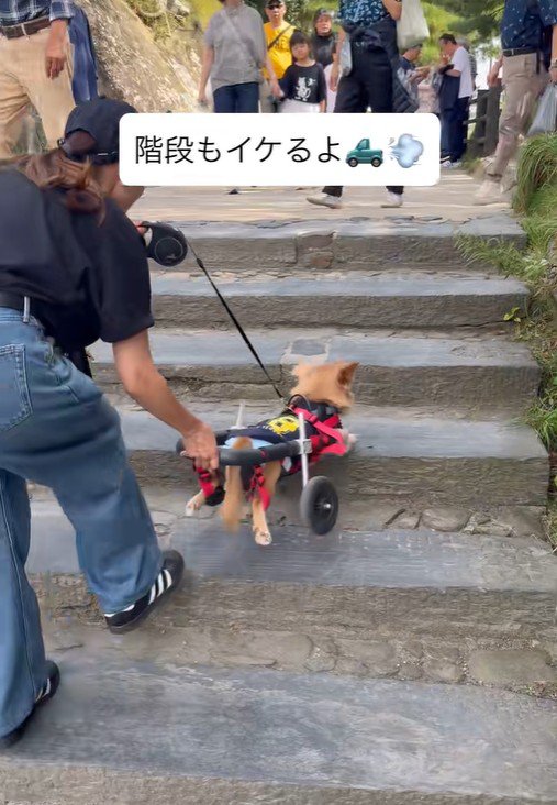 階段も上れます