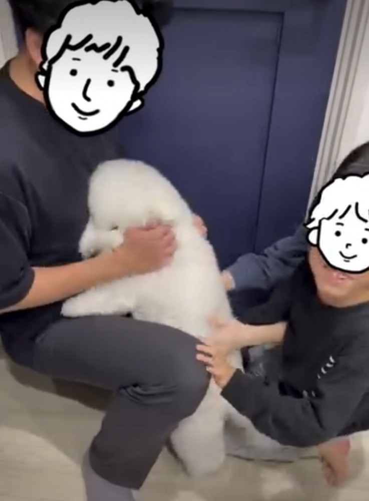 揉みくちゃになる犬