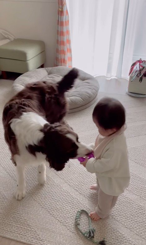 ププくんと娘さん7