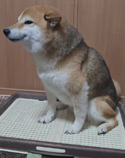 「大好きな人だ！！」