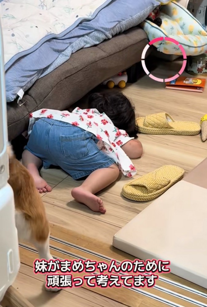 ソファの下を覗く女の子