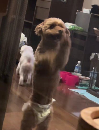 「なんか疲れた」