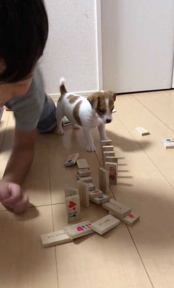 男の子も楽しんでます