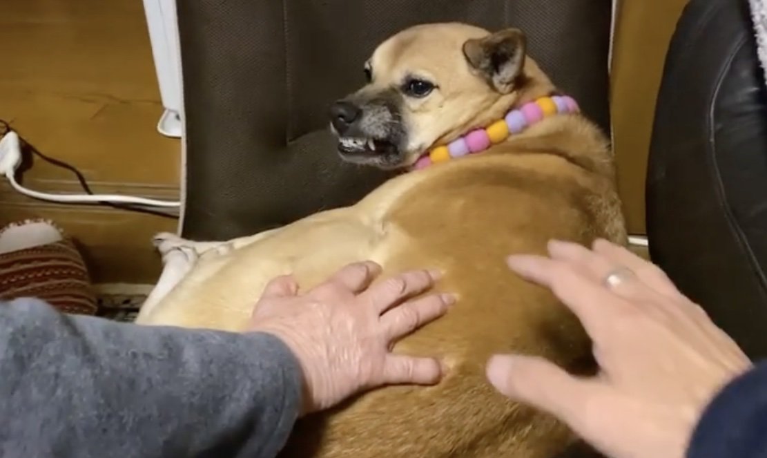 ムキ顔！！