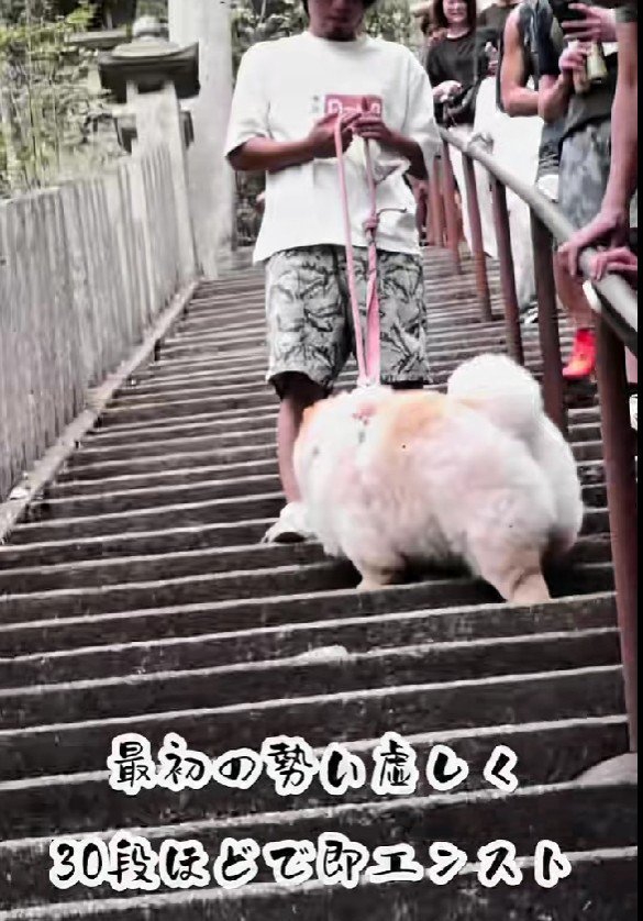 まさかの30段でエンスト